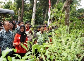 Pemerintah Imbau Masyarakat Tanam Cabai dan Bawang 